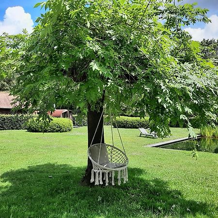 B&B De Levensboom Tessenderlo Екстериор снимка